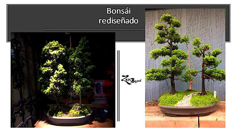 test5